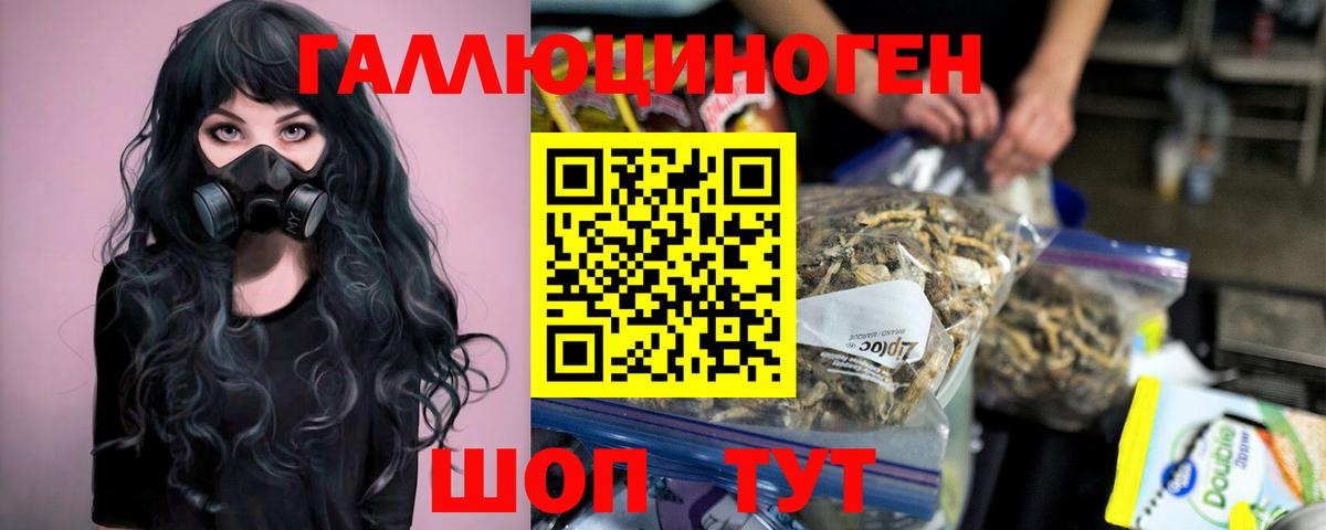 Галлюциногенные грибы Cubensis  Вход с VPN  Кашира 