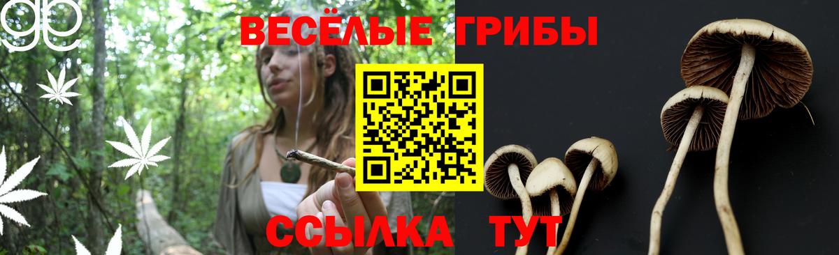 Галлюциногенные грибы Cubensis Кашира